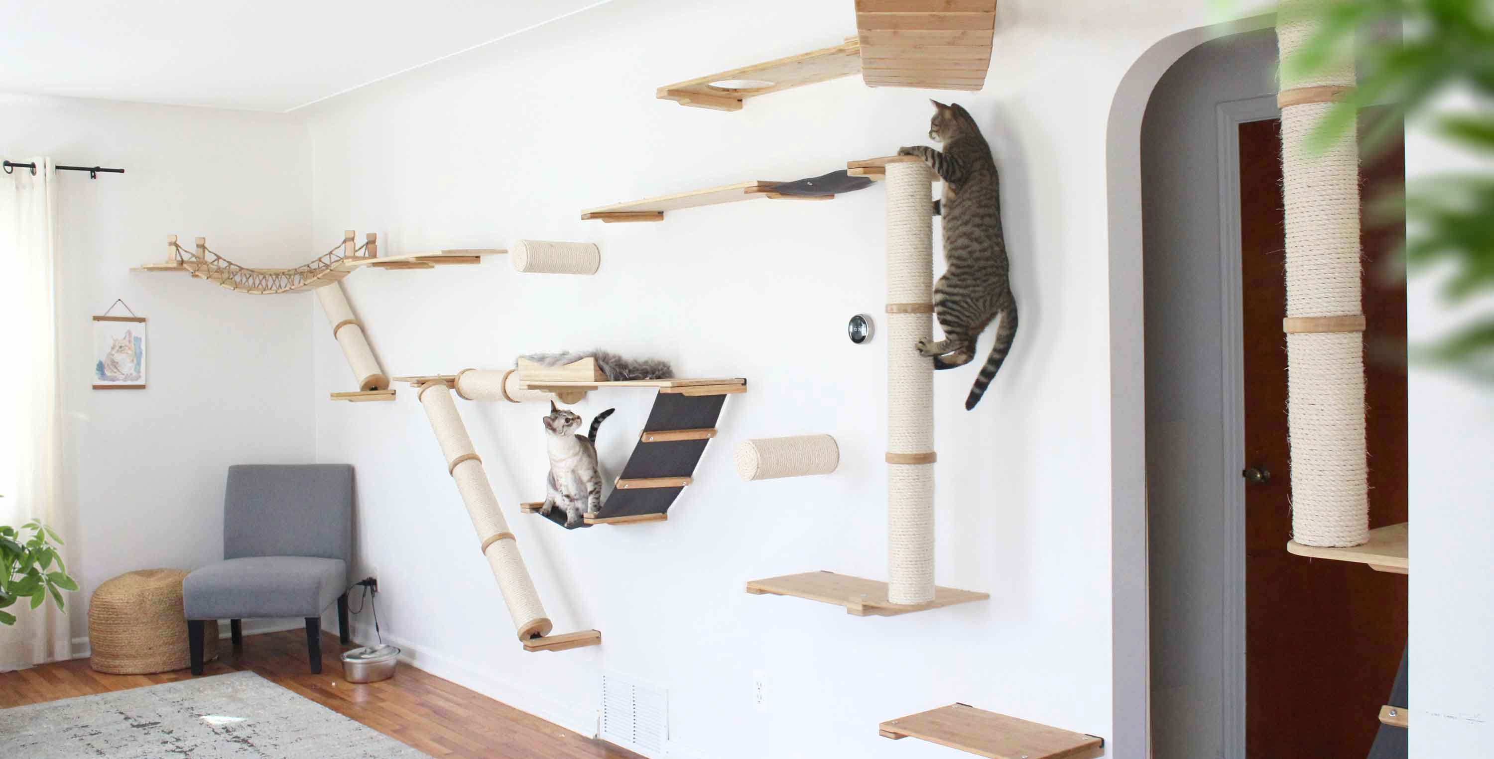 Custom built cat trees best sale