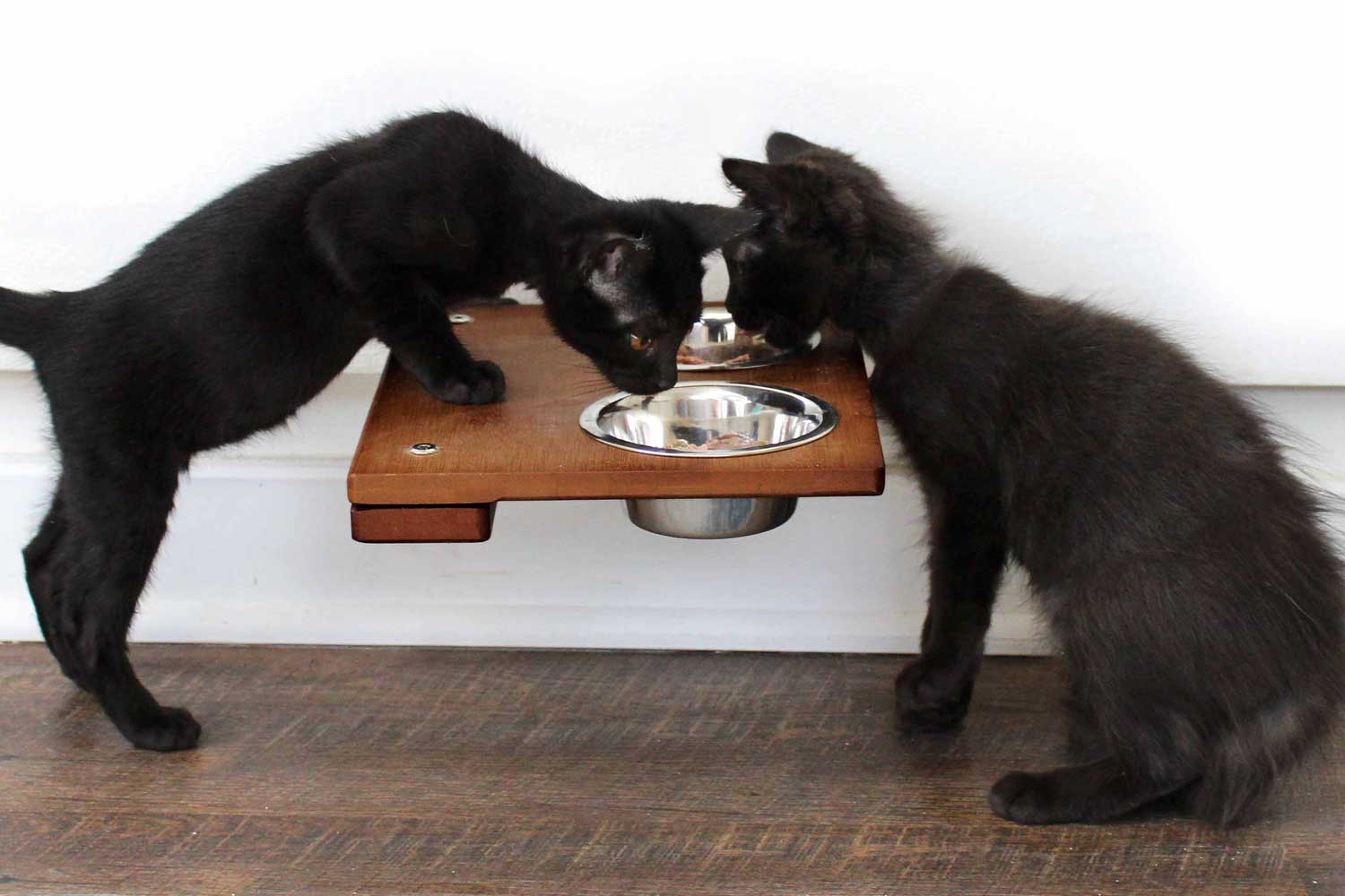 Diy cat outlet feeding shelf