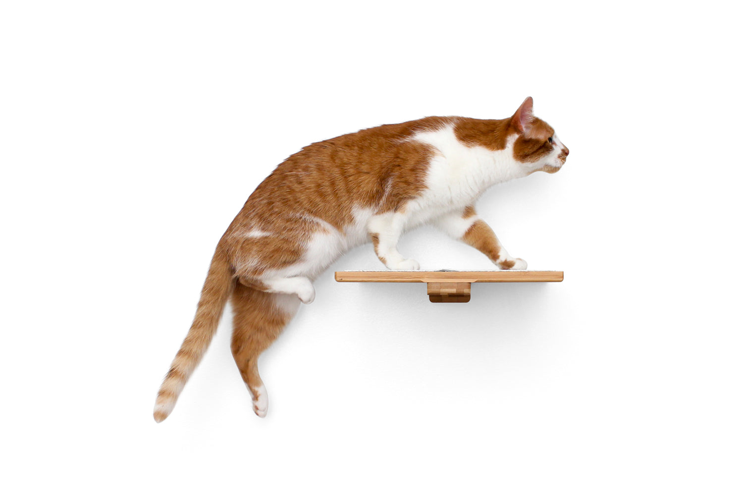 Cat Perch Shelf for Wall Indoor For Large Small Cats