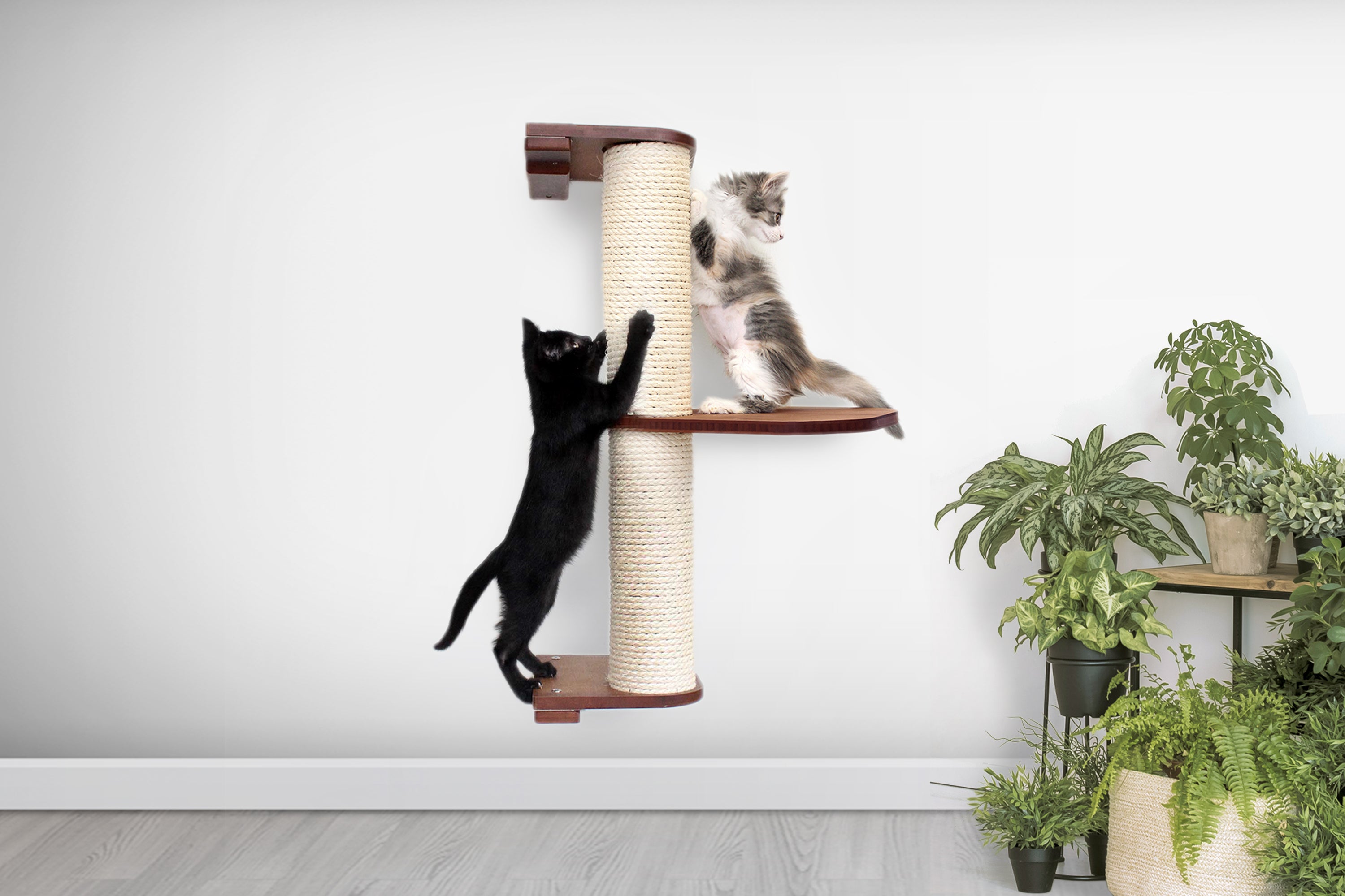 Wall Mounted Cat Scratching Pole Catastrophic Creations