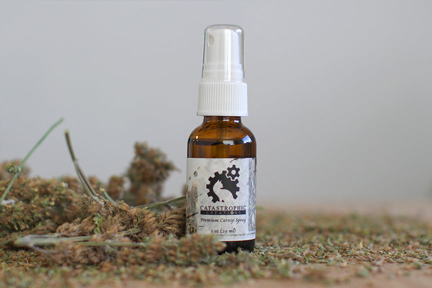 Catnip Spray for Cats Catastrophic Creations