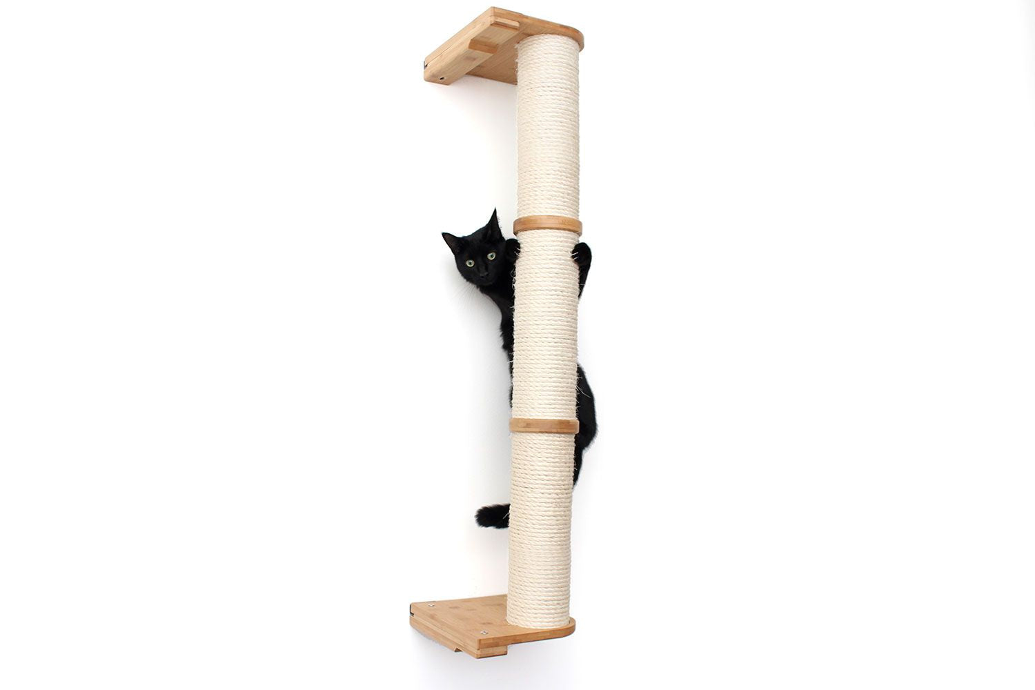 Cat on the Scratching Pole