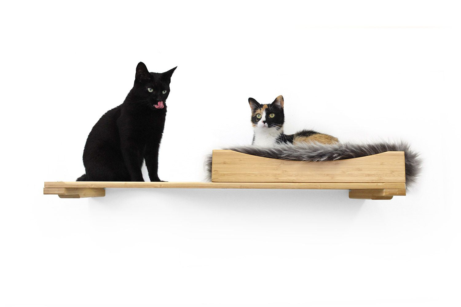 Cats on Nest Bed with Shelf