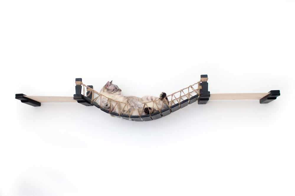 Cat on bridge lounge with onyx bamboo and natural canvas