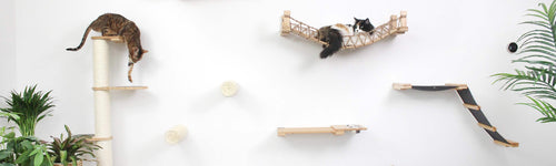 cats climbing on apartment wall cat furniture