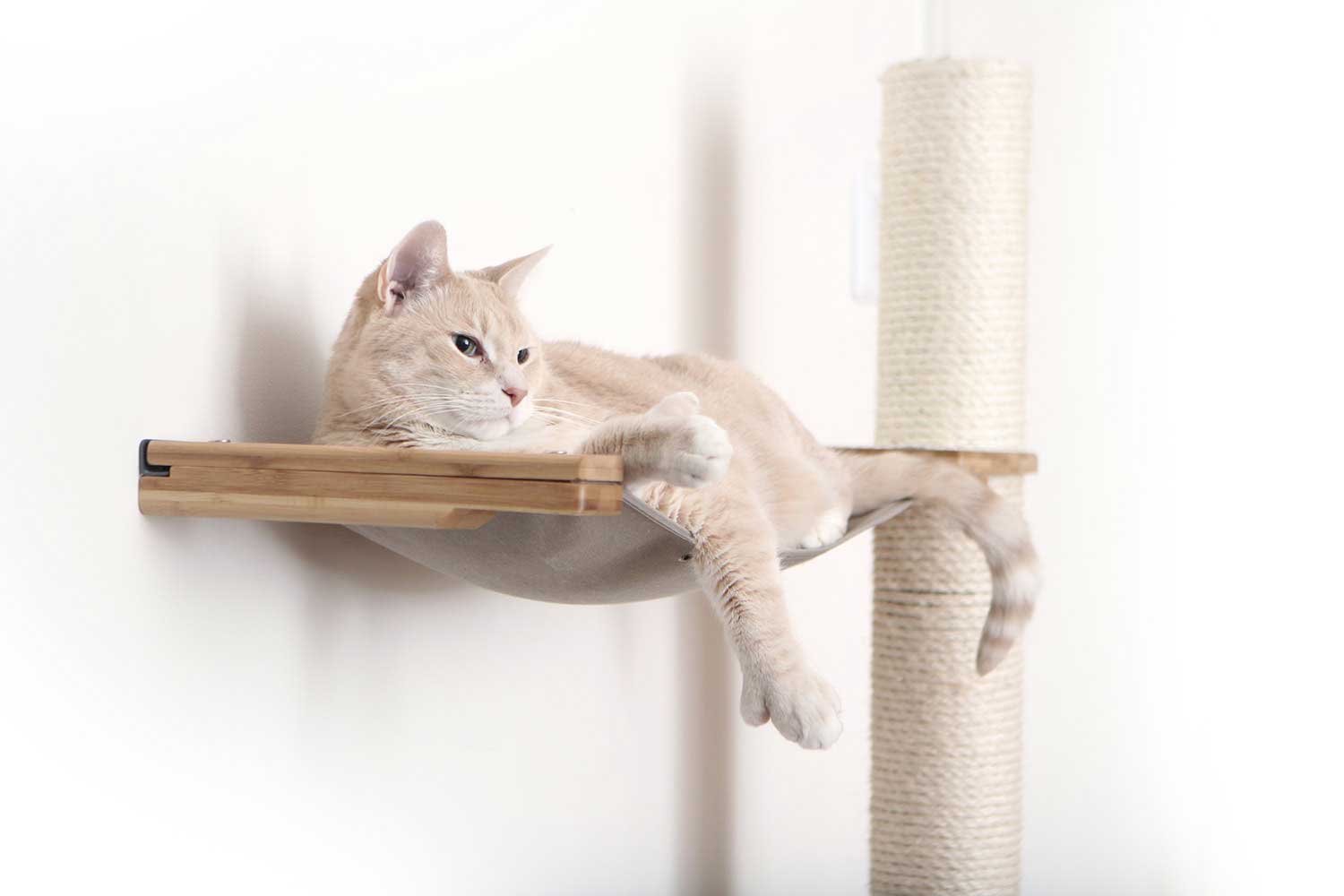 Cat tower with discount hammock