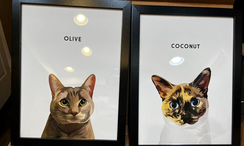 Adorable customer photo of cat portraits done by West & Willow