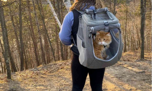 Cat Backpack from Travel Cat