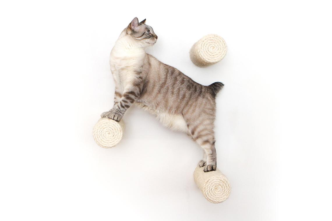 Cat wall mounted steps best sale