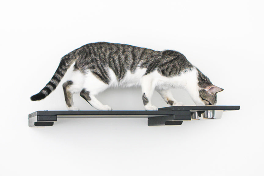 Wall Mounted Cat Feeding Feeder Shelf Catastrophic Creations