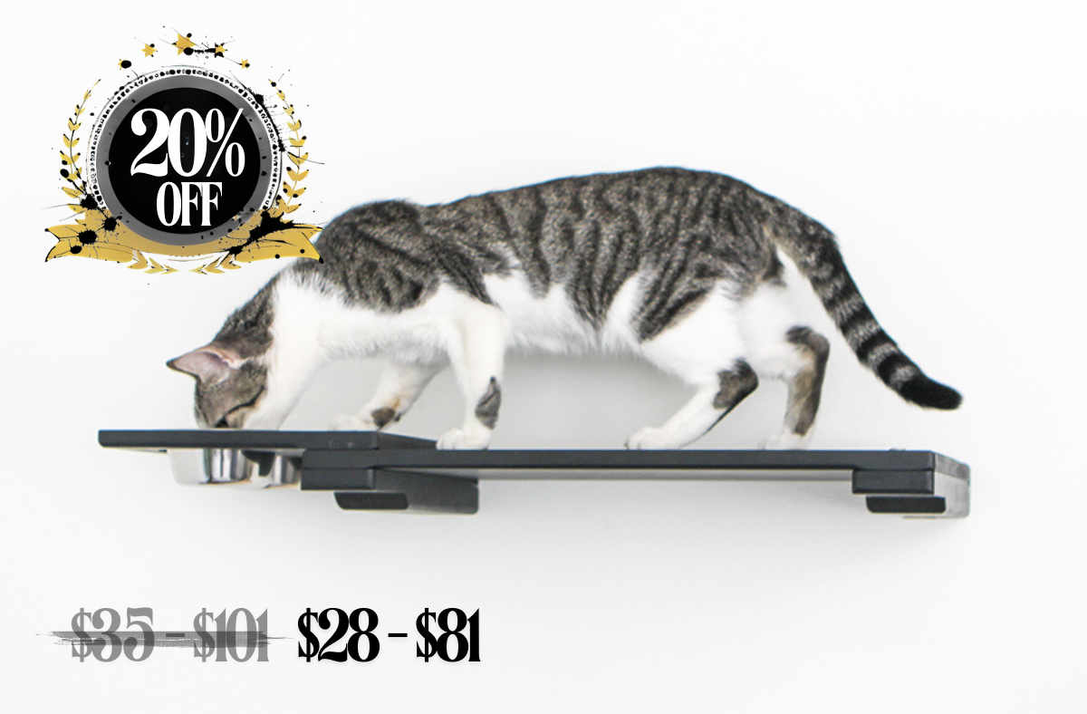 2024 Holiday Pricing 20% off Cat Feeder Shelves