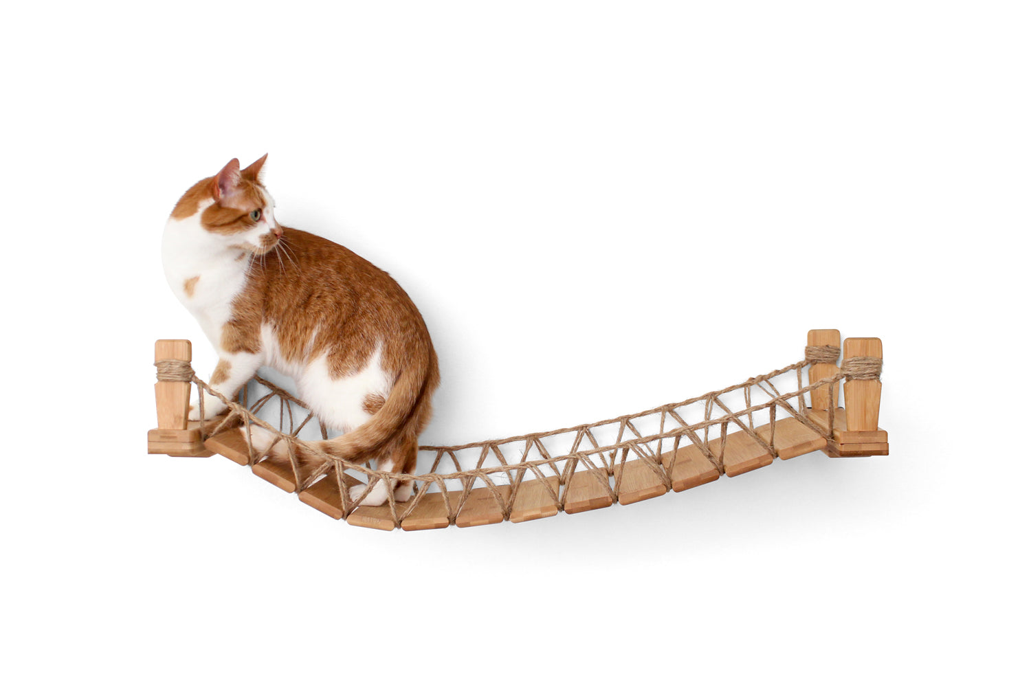 Orange and white cat standing on Natural/Twine bridge.