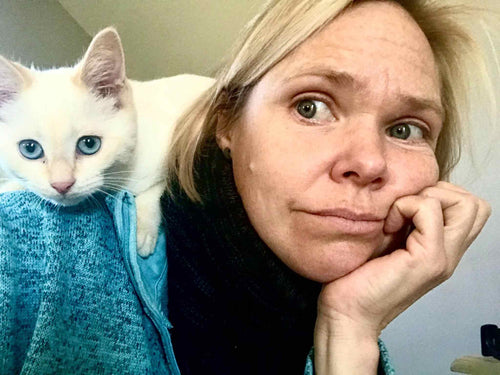 kitten sitting on a shoulder looking at camera