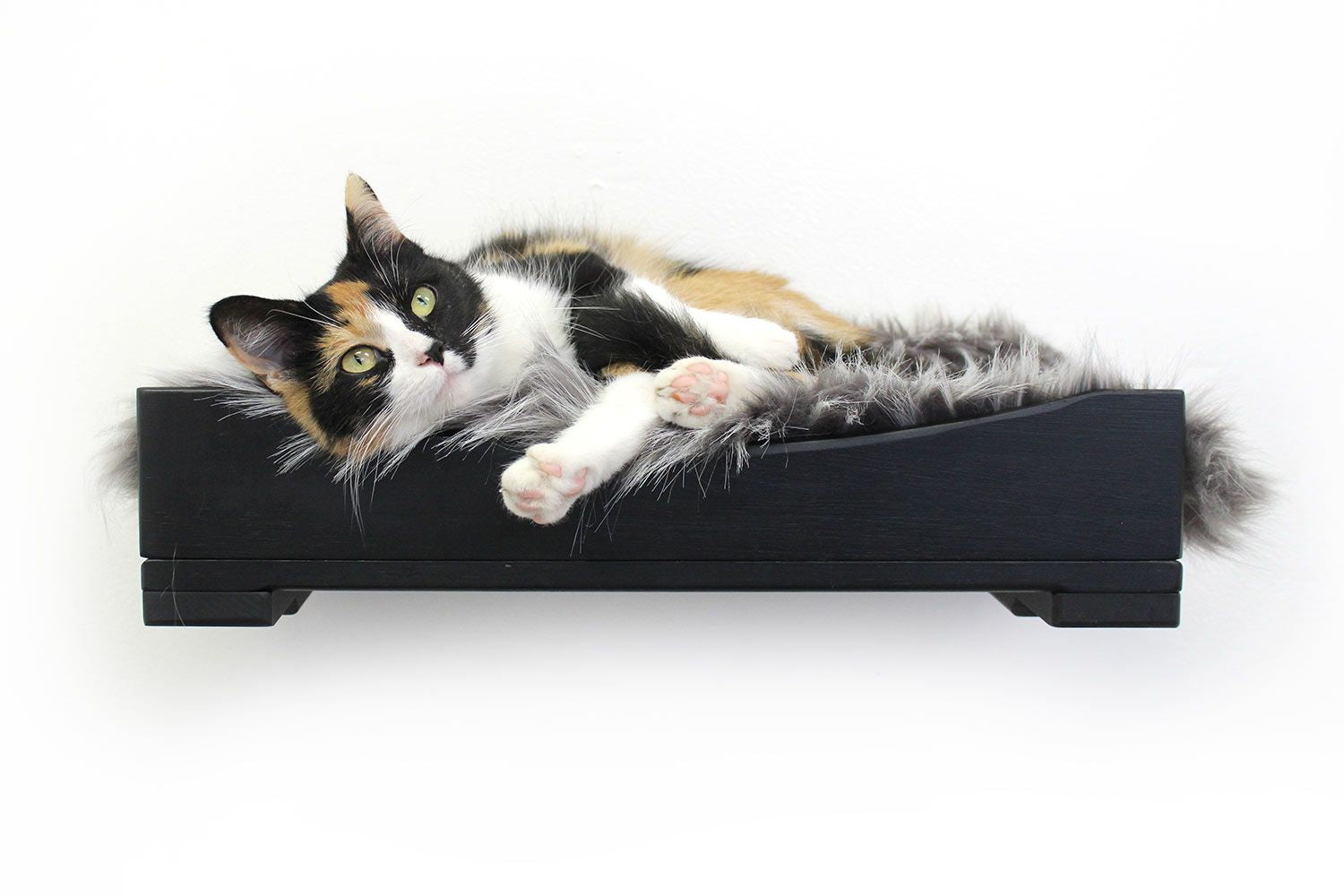 Black cat outlet cat bed