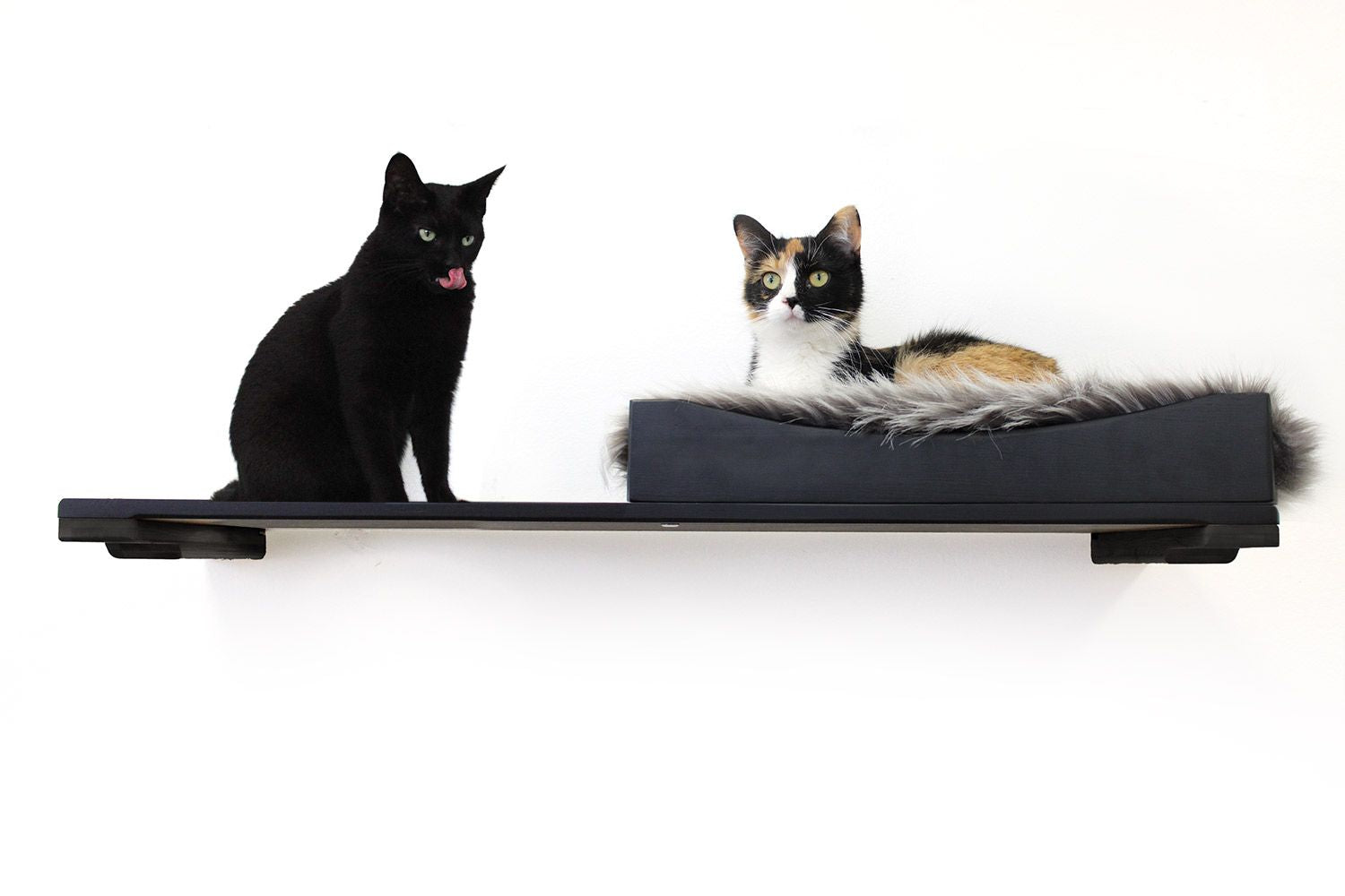 Cats on Nest Bed with Shelf