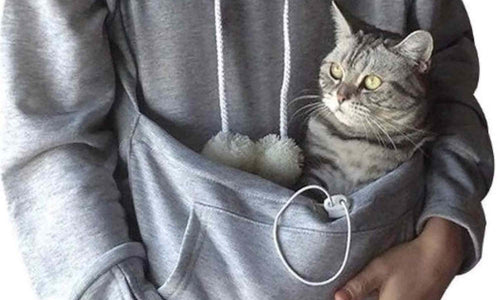 Hoodie that has a pouch to carry a cat in from Etsy