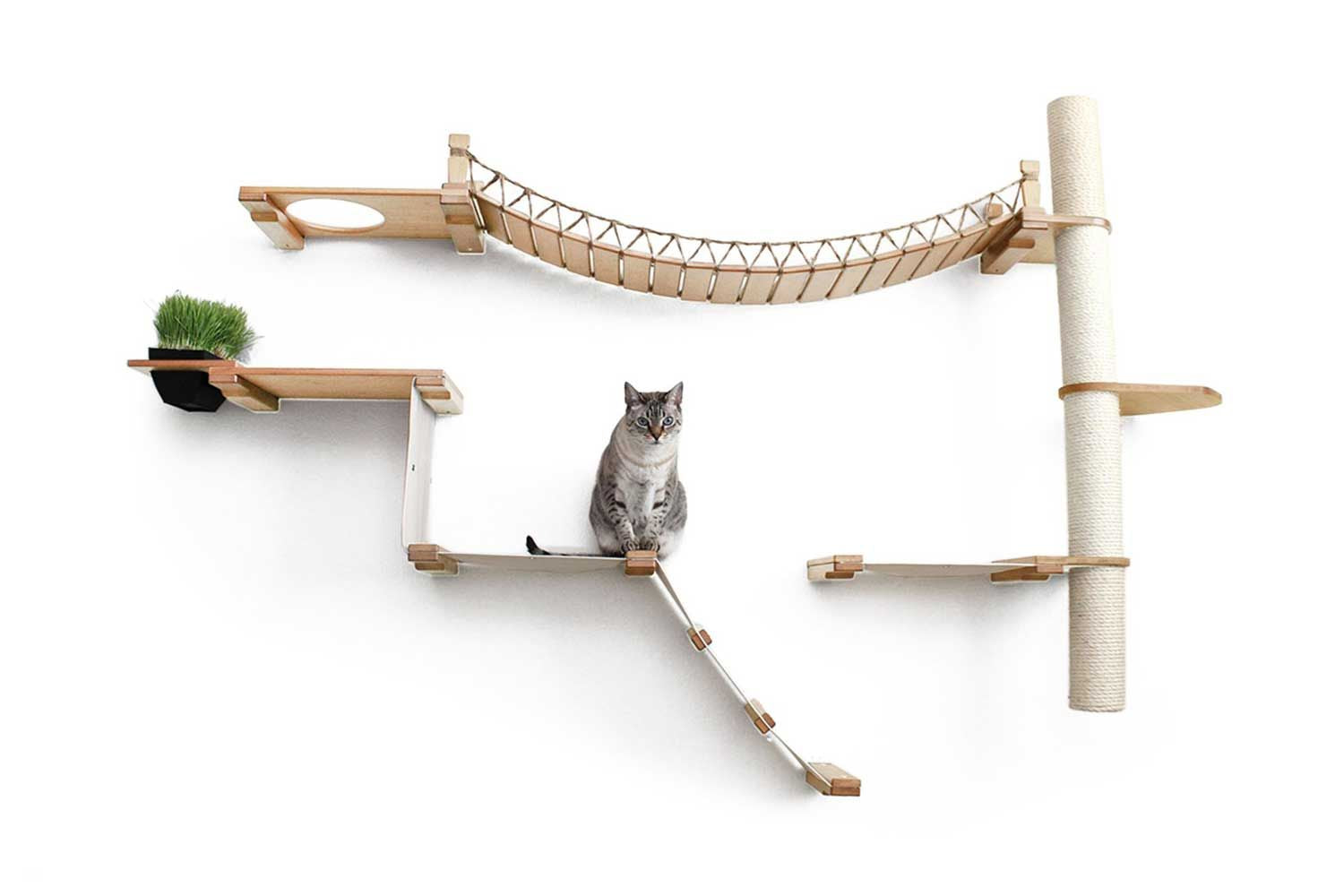 Cat sitting on the Natural Bamboo Expedition Cat Condo with Natural Canvas