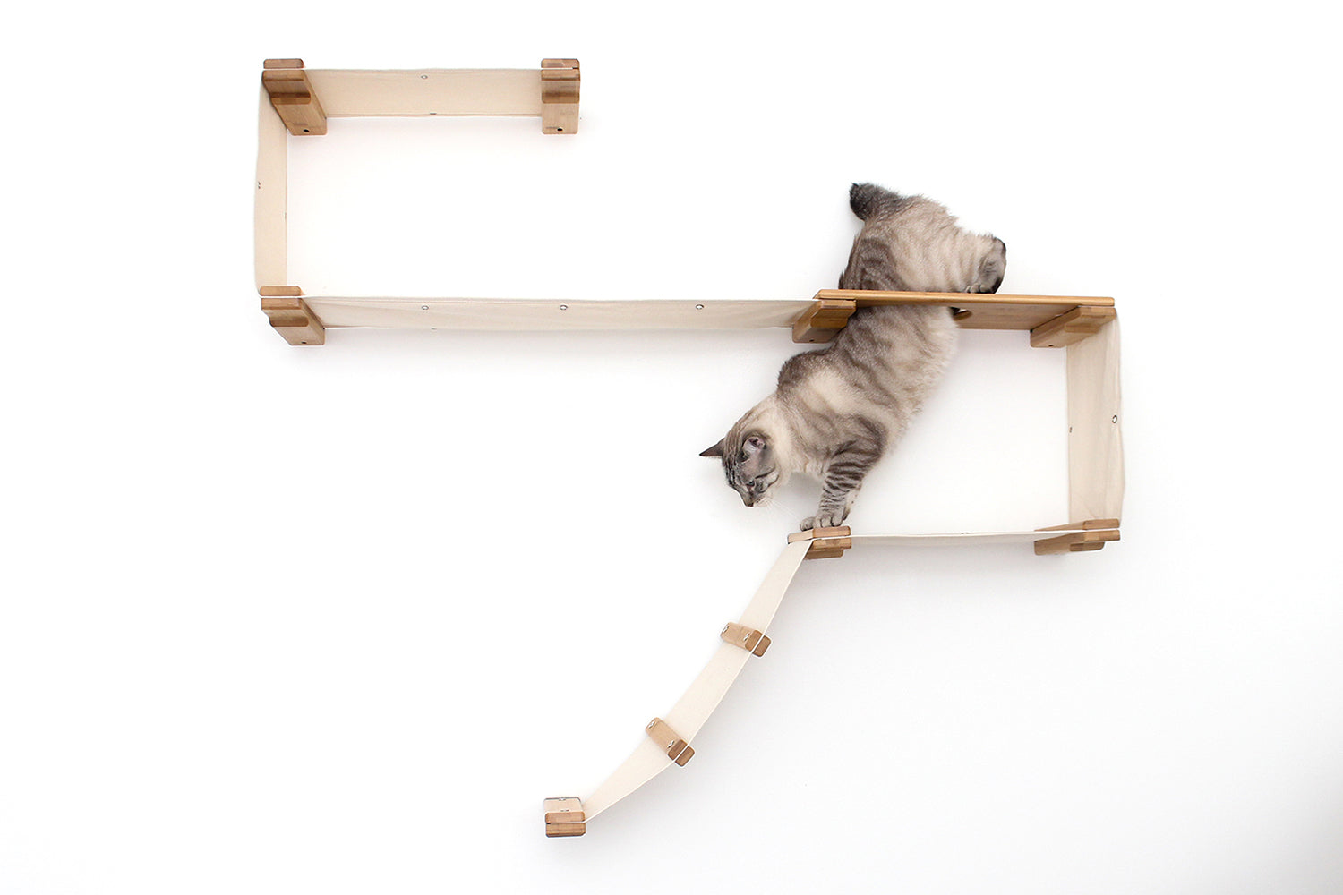 Wall Cat Trees Condos Towers Catastrophic Creations