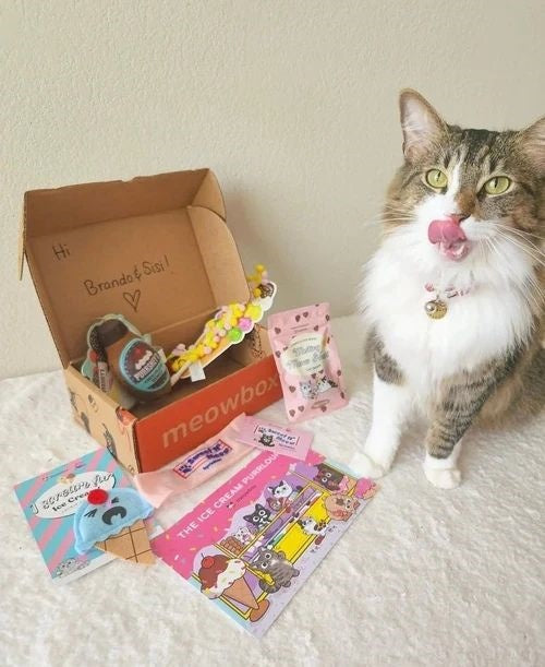 Cat licking its lips while sitting next to a bow filled with cat toys and treats