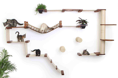 Wall mounted cat condo with kittens playing on it 