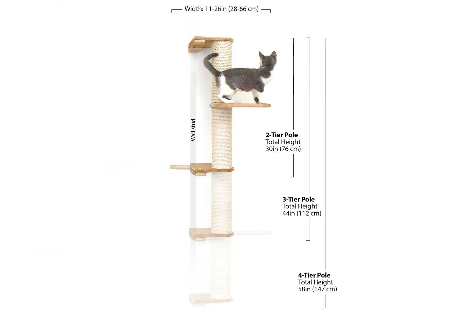 Cat climbing outlet pole