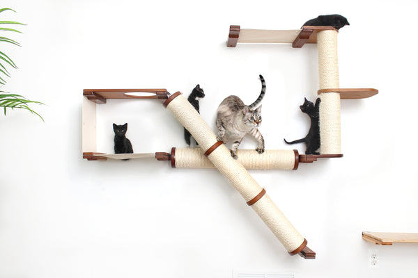 Diy cat gym best sale