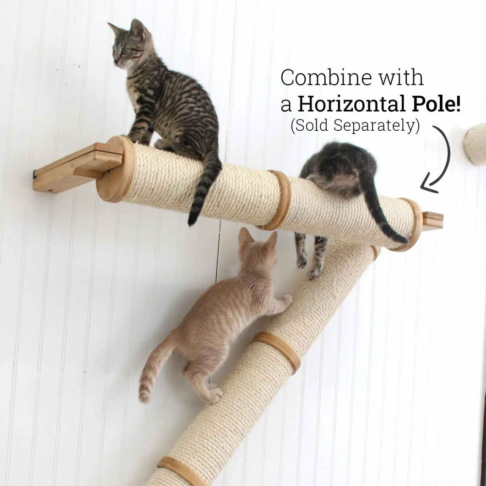 cats climbing on scratching poles