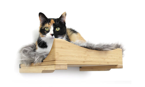 Dropship One-Step Cat Bed For Window Sill & Bedside;Cat Window