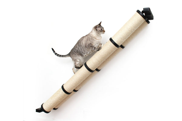 Modern Cat Furniture to Create the Perfect Cat Playground