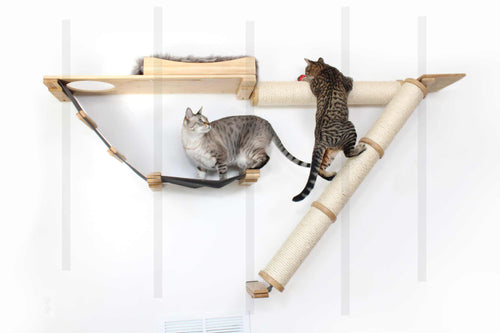 custom cat wall with cats climbing