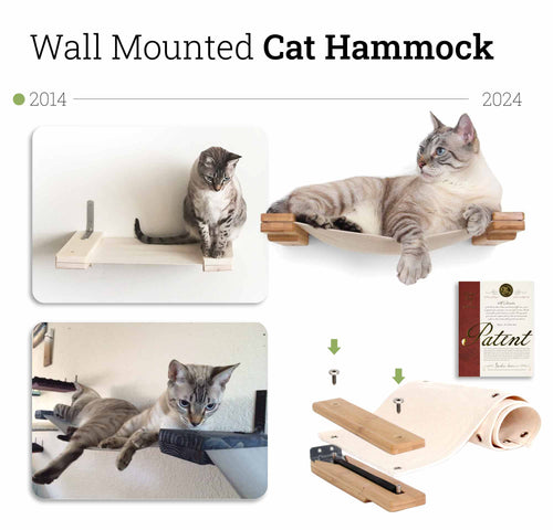 cat hammocks with cats