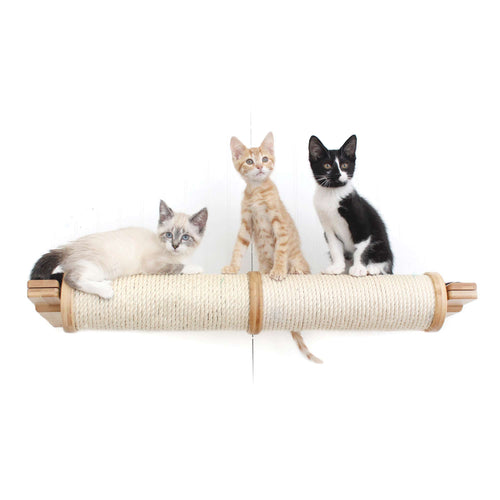 cats hanging out on scratching pole