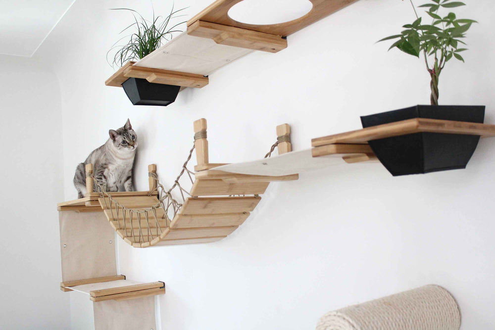 cat exploring natural stained large cat tree