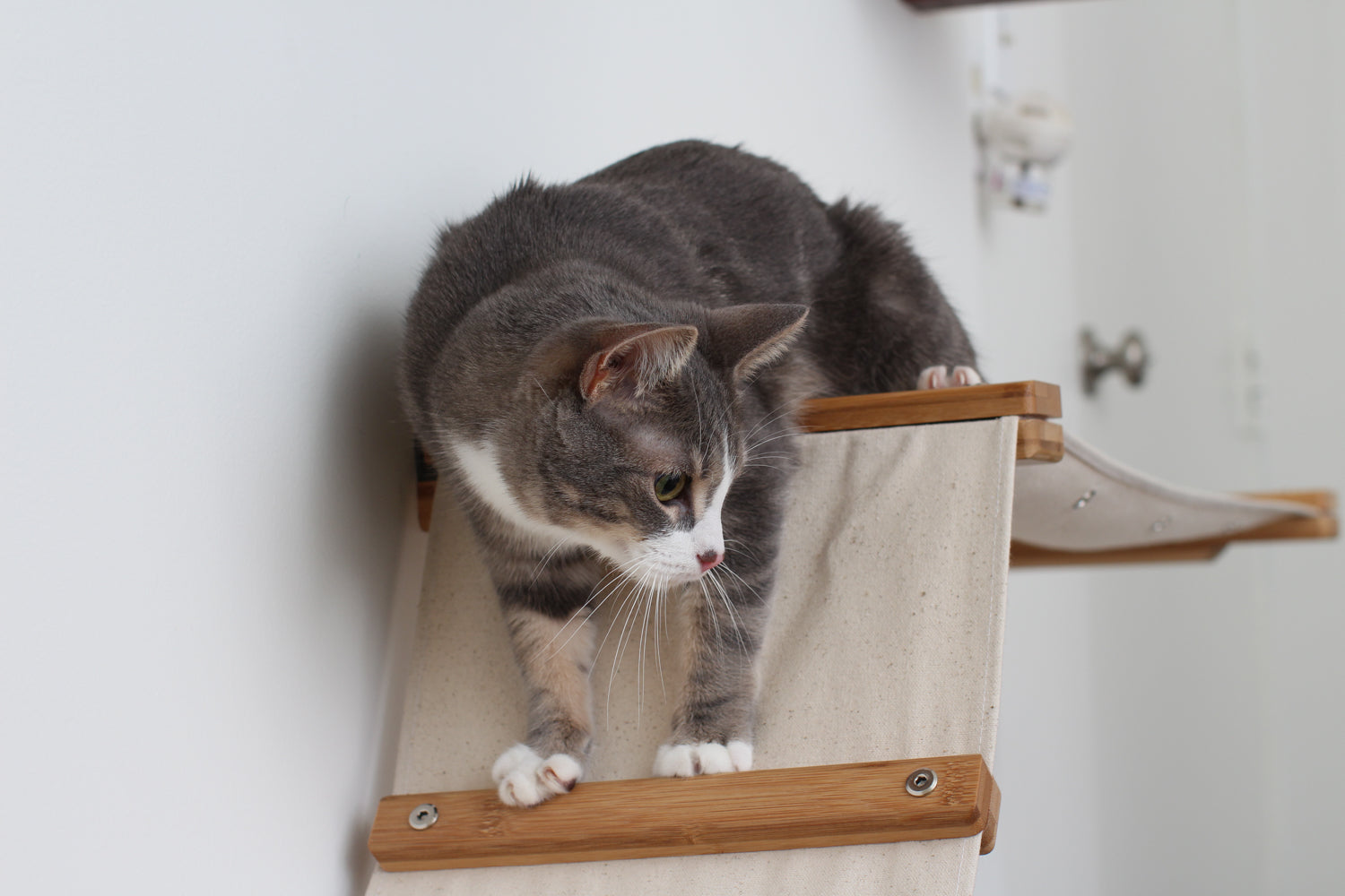 CatastrophiCreations The Lift Our Wall Mounted Cat Hammock English Chestnut Bamboo Natural Canvas