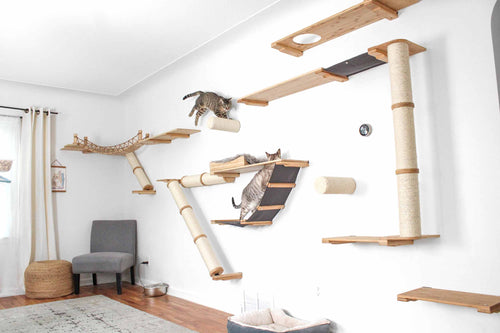 cats playing on custom cat wall