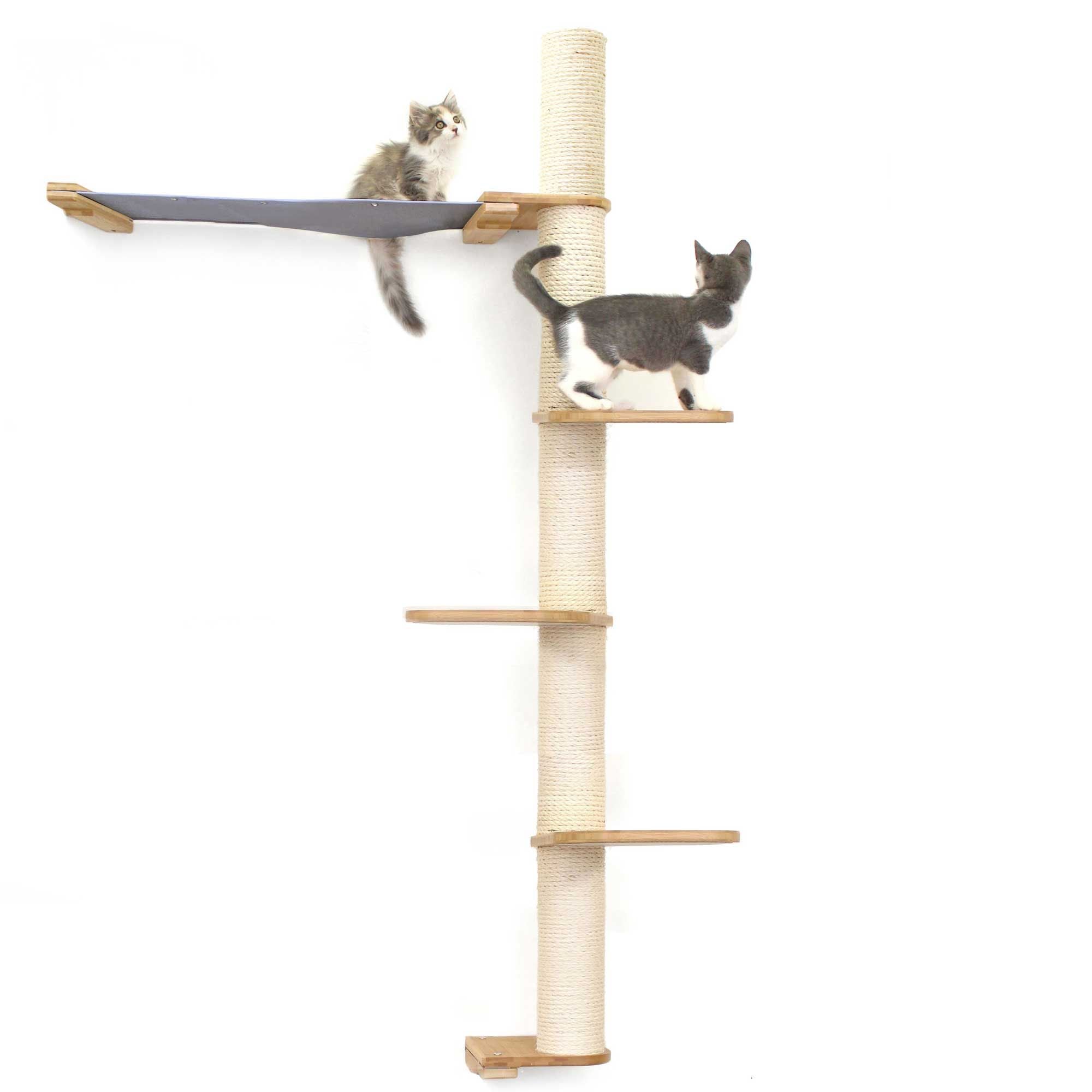 Cats on Crows Nest