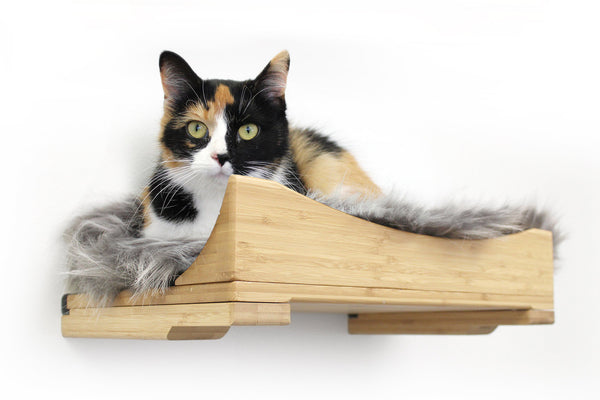 Modern Cat Furniture to Create the Perfect Cat Playground