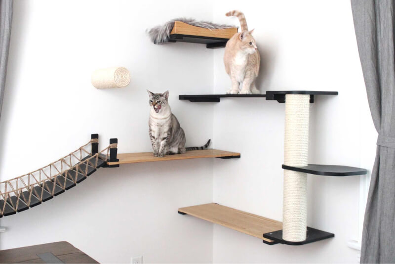 Cat shelves for outlet sale