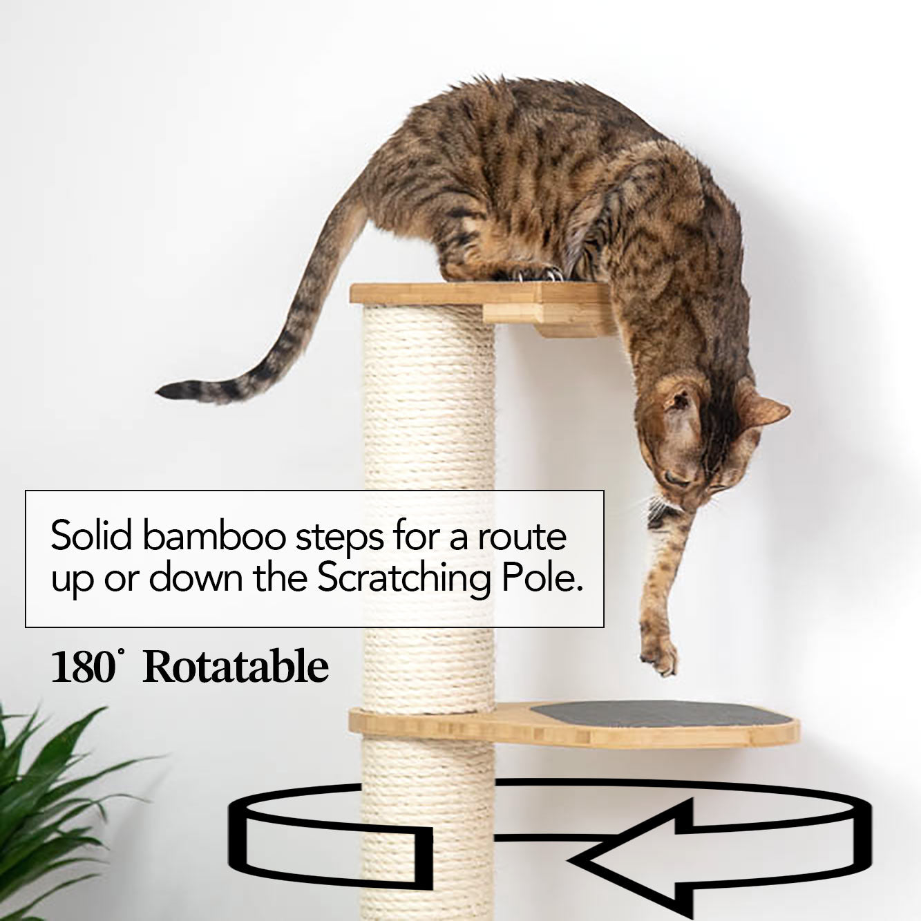 Cat scratch pole best sale