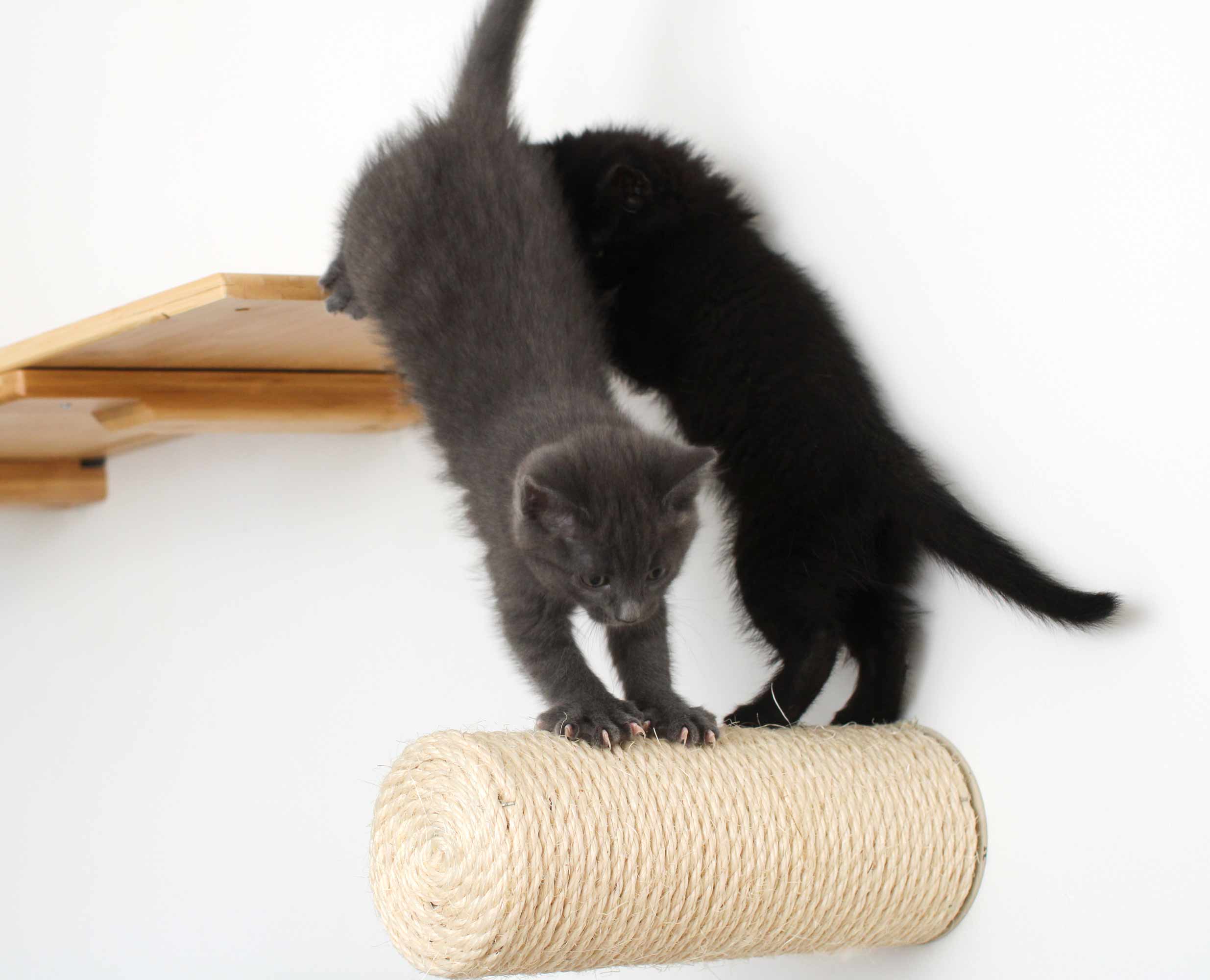 Floating Cat Steps for Wall Sisal Scratching Post