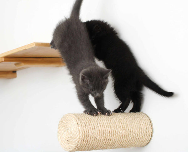 Floating Cat Steps for Wall (Sisal Cat Scratching Post)