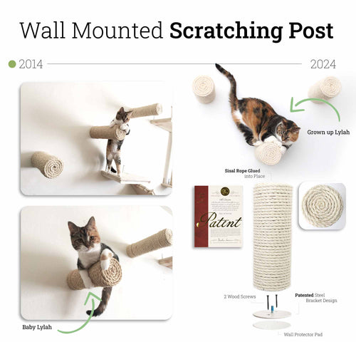 cat scratching posts comparing designs from the past