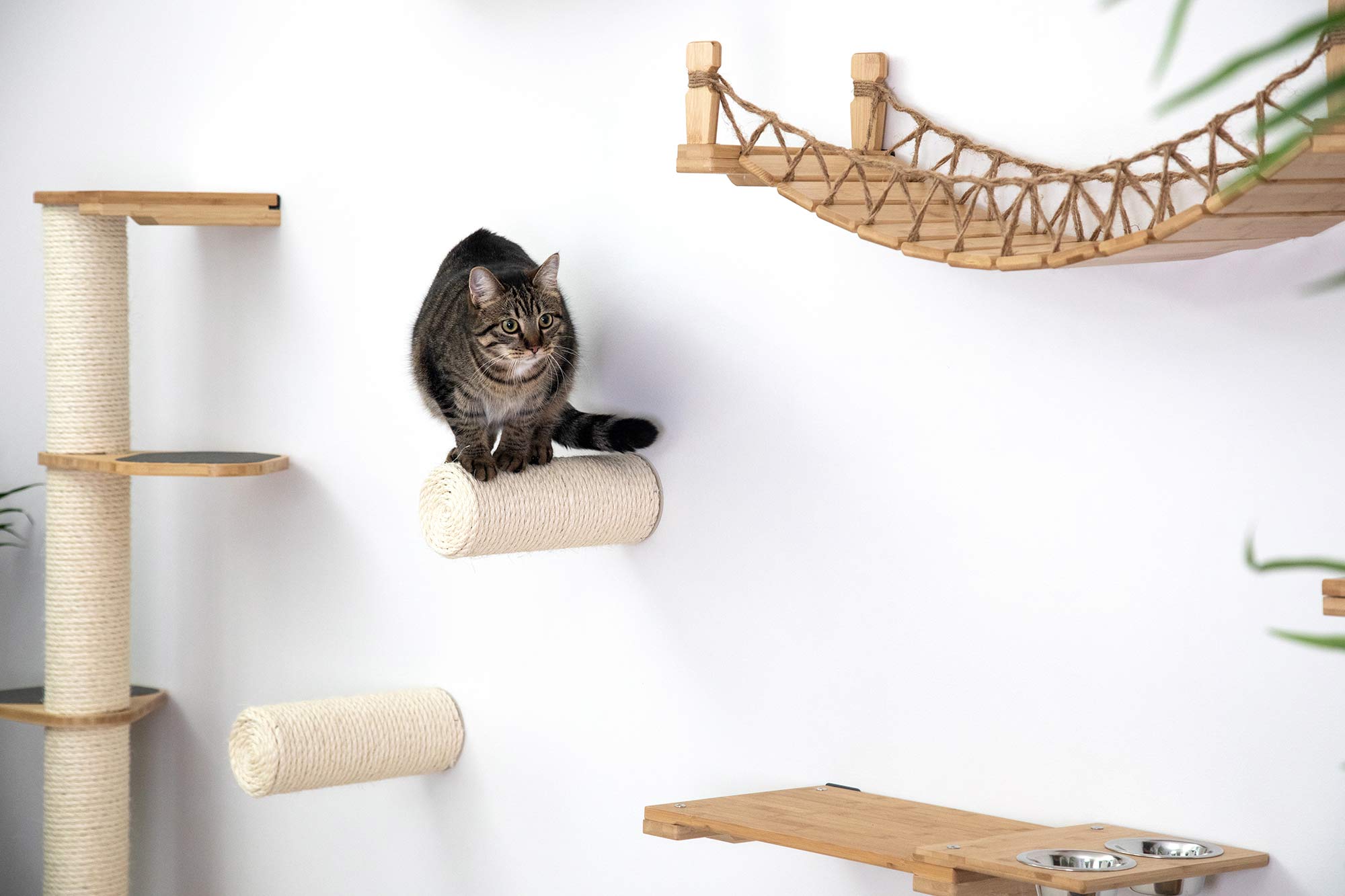 Sisal Floating Cat Steps for Wall Catastrophic Creations