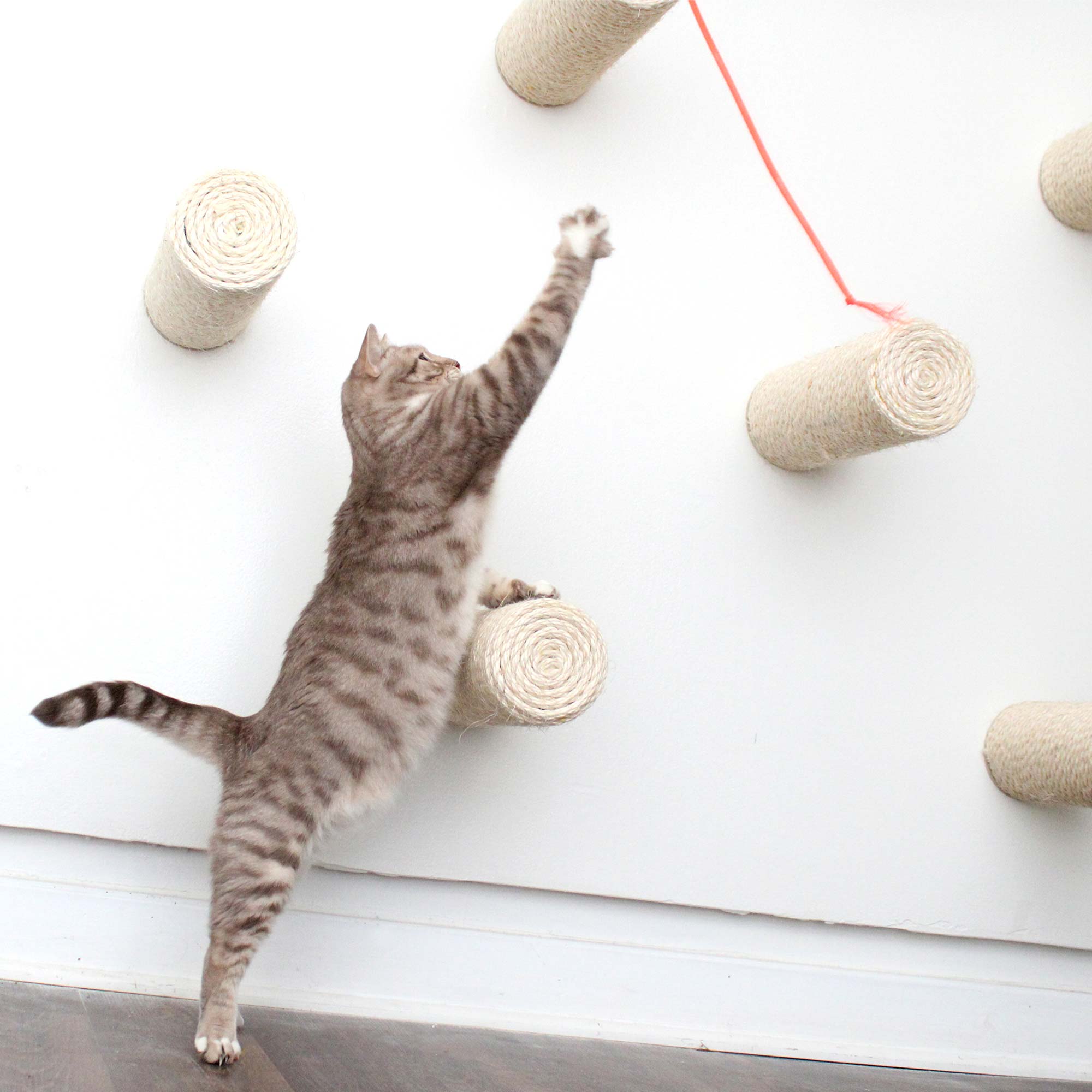 Cat scratch rope best sale