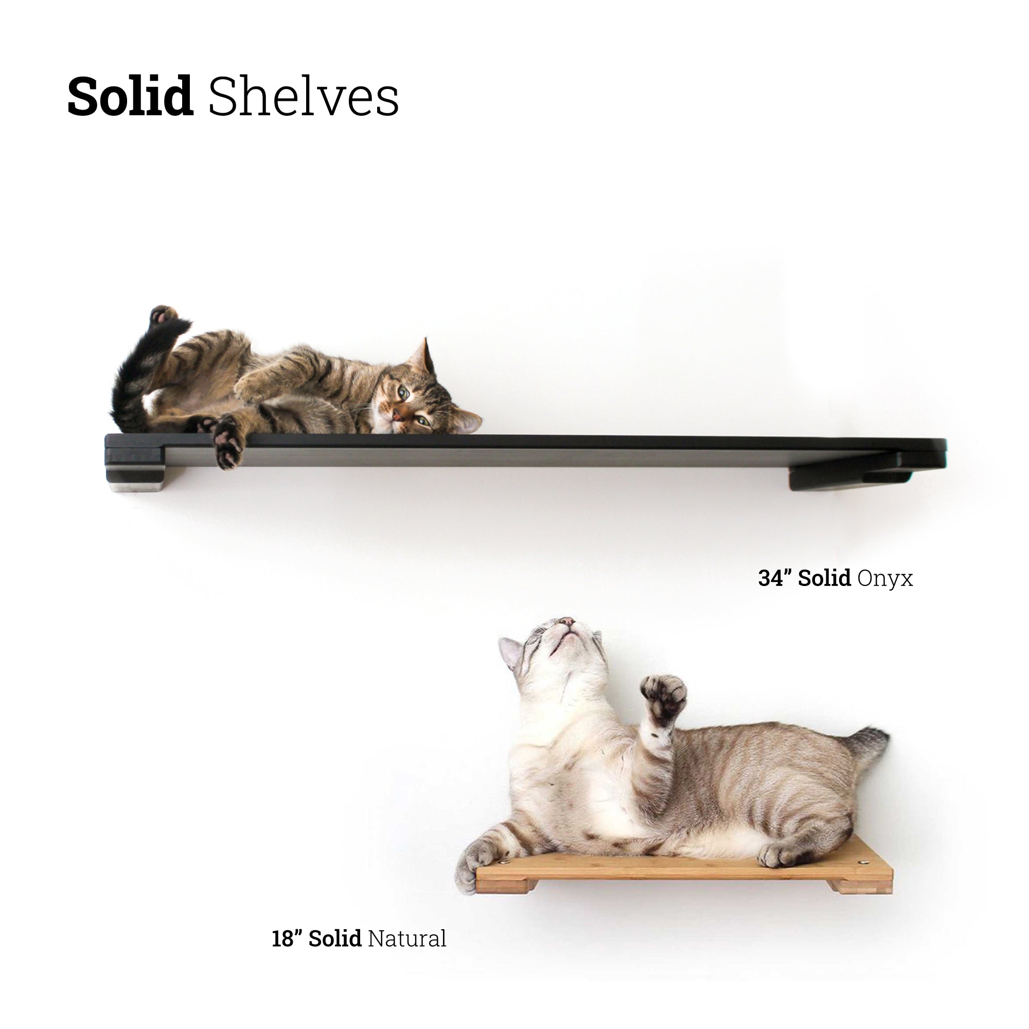 Affordable cat shelves best sale