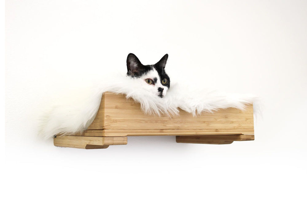 Black and white cat resting comfortably on an 18" Natural Bamboo Nest cat bed with Cream Plush Pad