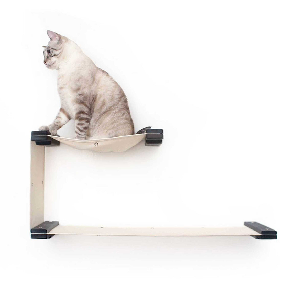 No Drill Cat Shelf in 2022 — Best Cat Review