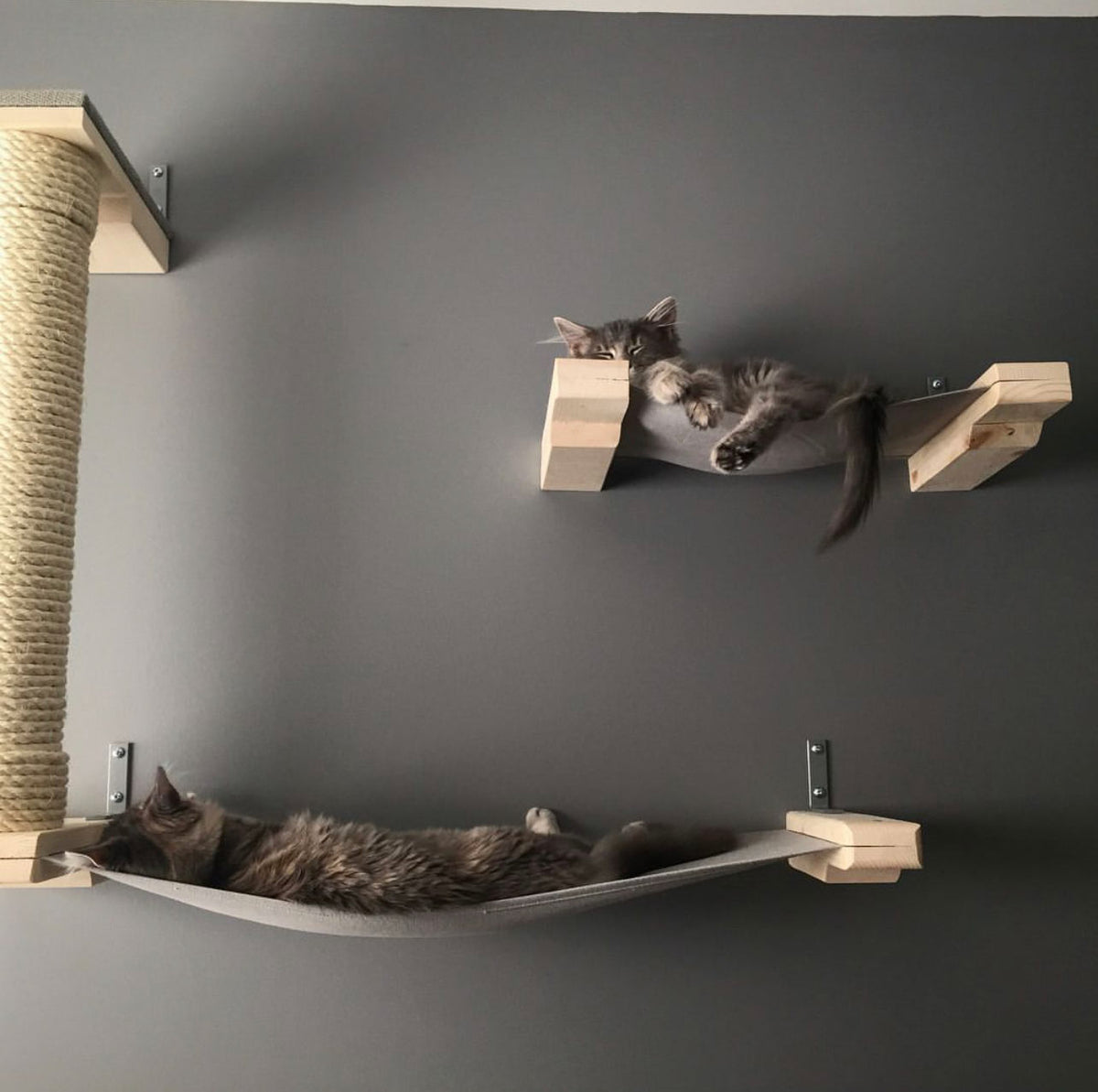 Modern Cat Furniture to Create the Perfect Cat Playground