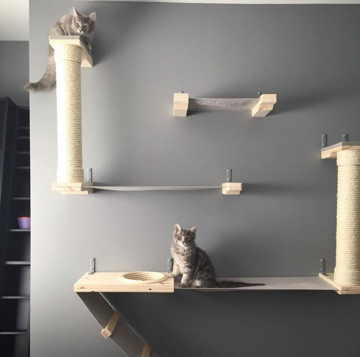 Modern Cat Furniture to Create the Perfect Cat Playground