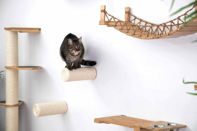 Cat hotsell wall toys